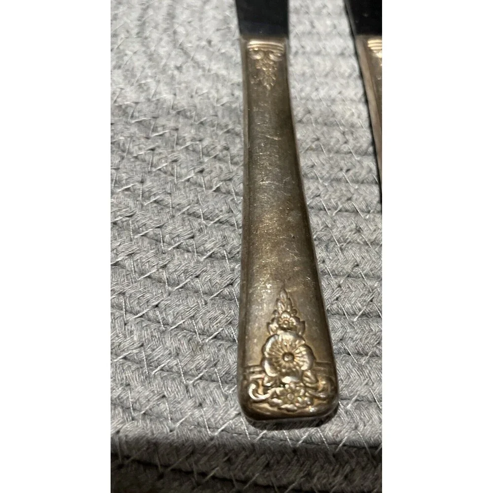 Wm Rogers  5 pc Knife Set Silverplate Vintage Spring Charm Flatware Patina